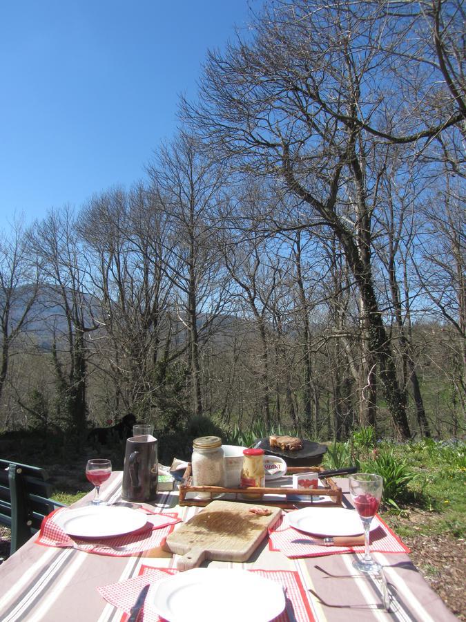 Les Cimes - Le Gite Saint-Pierre-de-Rivière エクステリア 写真